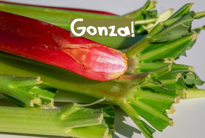 Gonza! Font examples