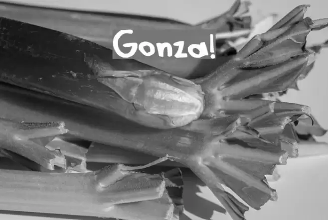 Gonza! Font examples