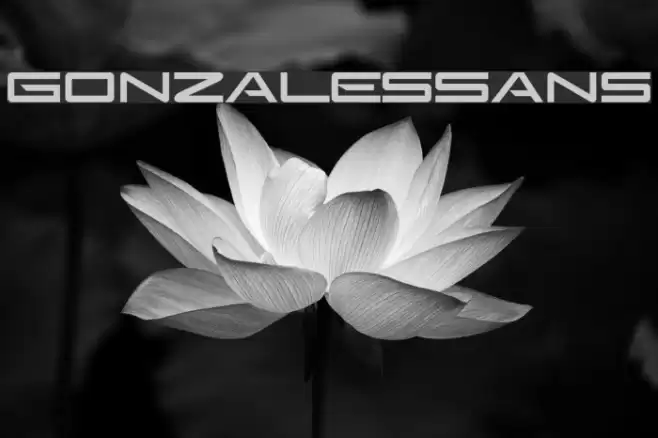 GonzalesSans Font examples