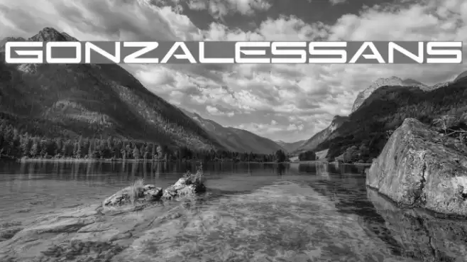 GonzalesSans Font examples