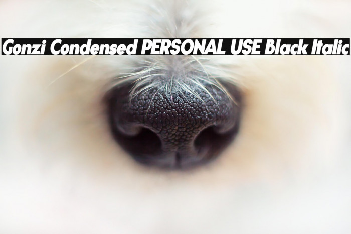 Gonzi Condensed PERSONAL USE Black Italic Example 2