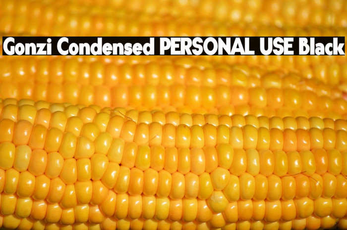 Gonzi Condensed PERSONAL USE Black Example 1