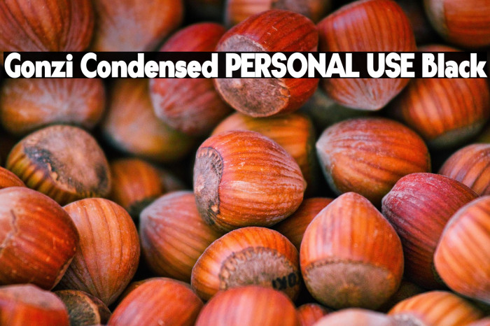 Gonzi Condensed PERSONAL USE Black Example 3