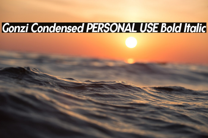 Gonzi Condensed PERSONAL USE Bold Italic Example 1