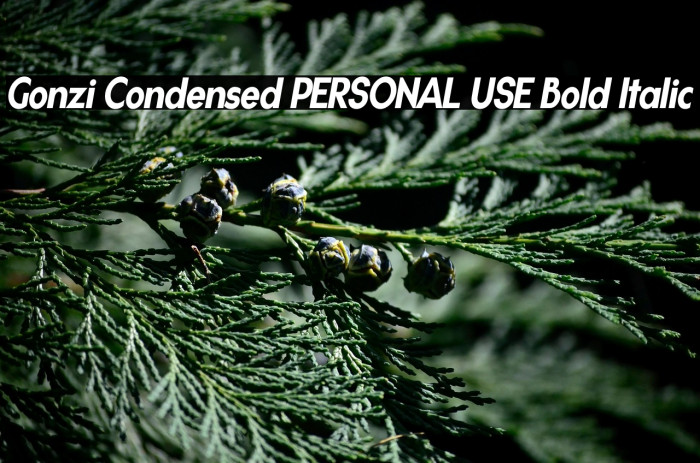 Gonzi Condensed PERSONAL USE Bold Italic Example 3