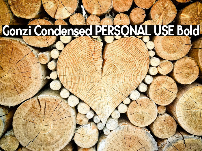 Gonzi Condensed PERSONAL USE Bold Example 1