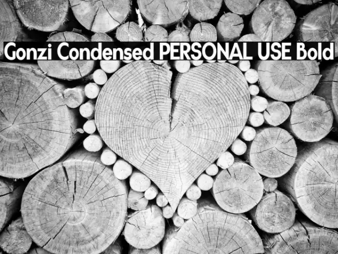 Gonzi Condensed PERSONAL USE Bold Font examples