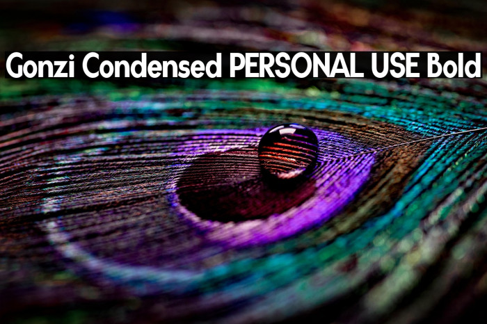 Gonzi Condensed PERSONAL USE Bold Example 2