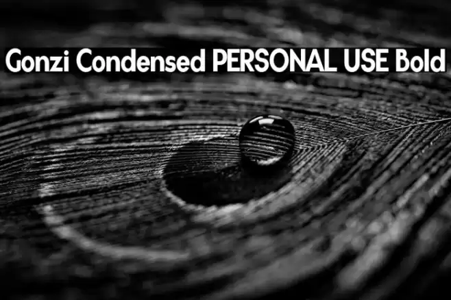 Gonzi Condensed PERSONAL USE Bold Font examples