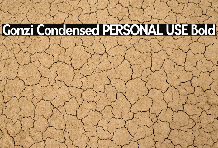 Gonzi Condensed PERSONAL USE Bold Example 3