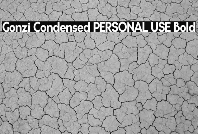 Gonzi Condensed PERSONAL USE Bold Font examples