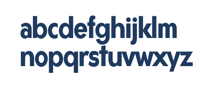 Gonzi Condensed PERSONAL USE Bold Lowercase