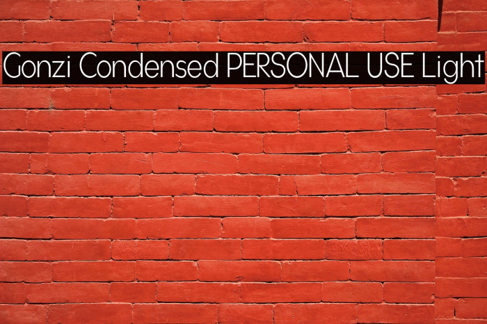 Gonzi Condensed PERSONAL USE Light Example 1