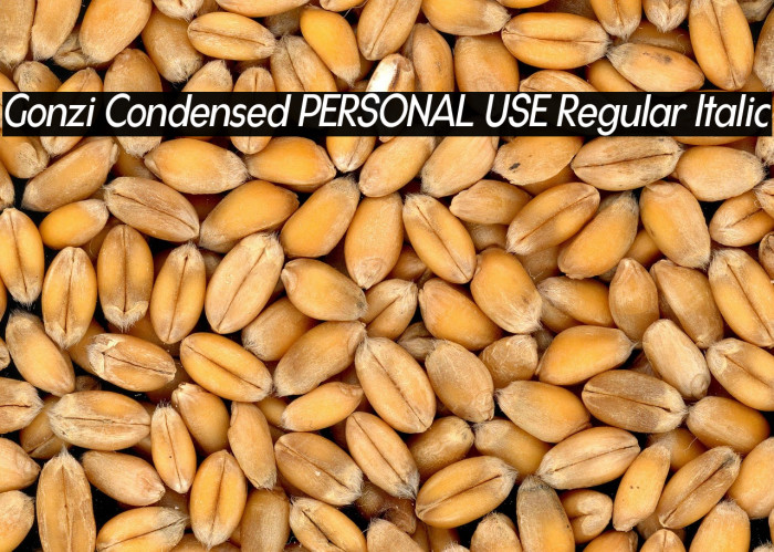 Gonzi Condensed PERSONAL USE Regular Italic Example 1