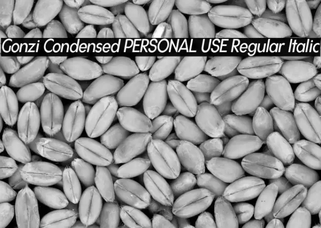 Gonzi Condensed PERSONAL USE Regular Italic Font examples