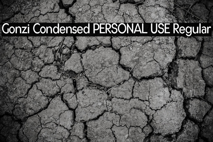Gonzi Condensed PERSONAL USE Regular Example 1