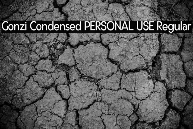 Gonzi Condensed PERSONAL USE Regular Font examples