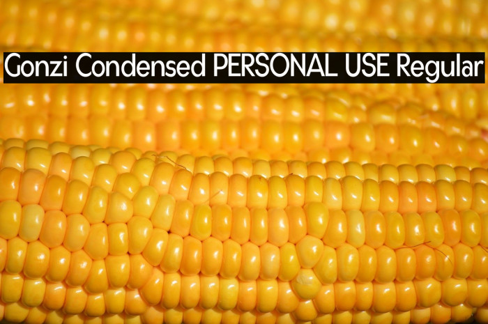 Gonzi Condensed PERSONAL USE Regular Example 2