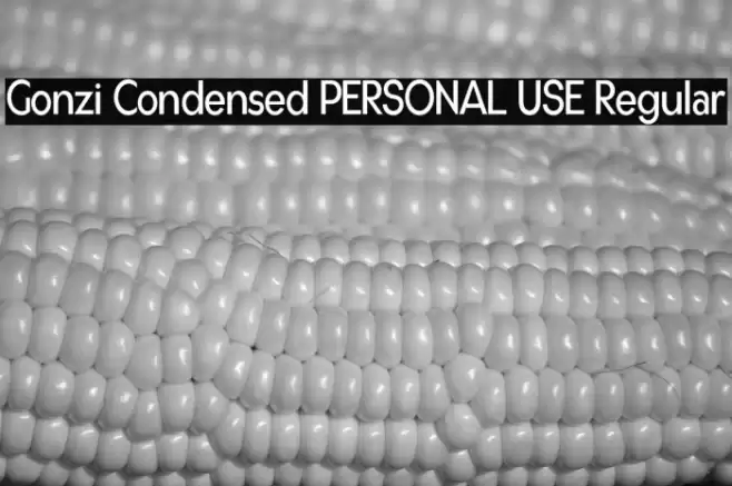 Gonzi Condensed PERSONAL USE Regular Font examples