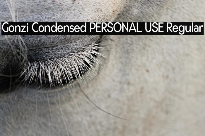 Gonzi Condensed PERSONAL USE Regular Example 3