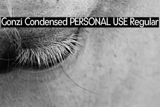 Gonzi Condensed PERSONAL USE Regular Font examples