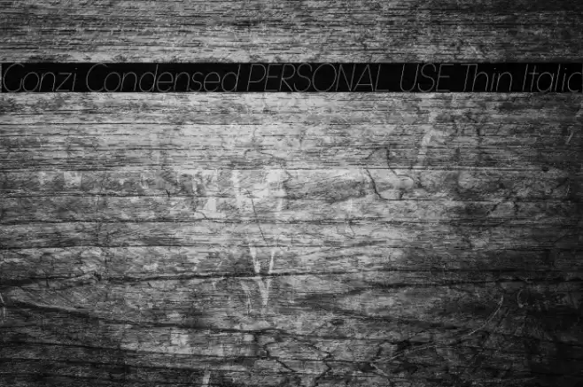 Gonzi Condensed PERSONAL USE Thin Italic Font examples