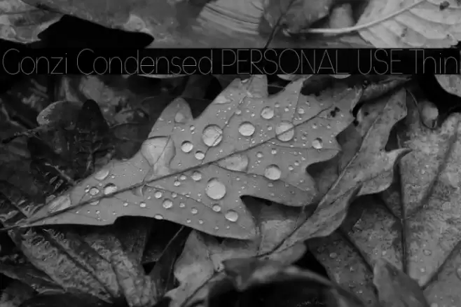 Gonzi Condensed PERSONAL USE Thin Font examples