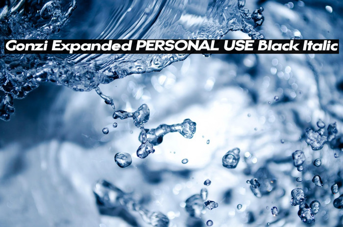Gonzi Expanded PERSONAL USE Black Italic Example 1