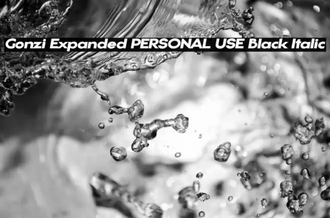 Gonzi Expanded PERSONAL USE Black Italic Font examples