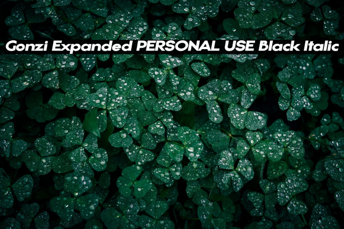 Gonzi Expanded PERSONAL USE Black Italic Example 2