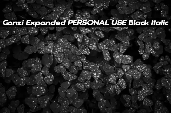 Gonzi Expanded PERSONAL USE Black Italic Font examples
