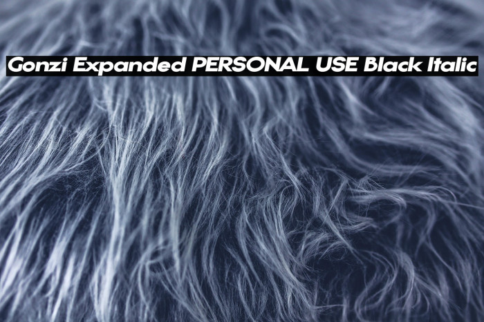 Gonzi Expanded PERSONAL USE Black Italic Example 3