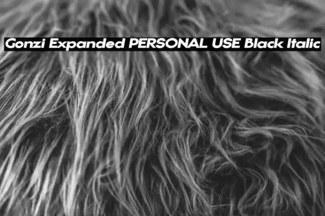Gonzi Expanded PERSONAL USE Black Italic Font examples