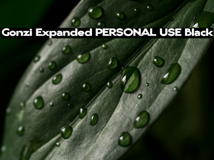 Gonzi Expanded PERSONAL USE Black Example 1