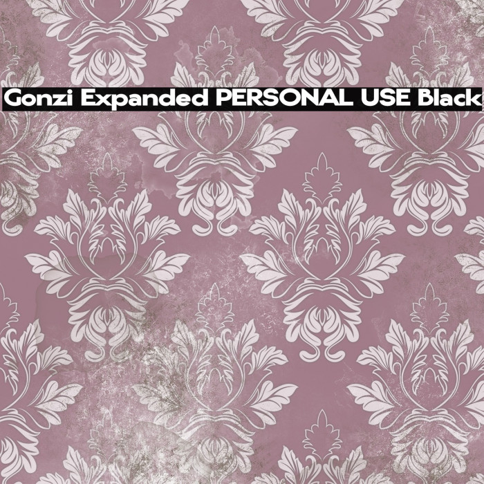 Gonzi Expanded PERSONAL USE Black Example 2