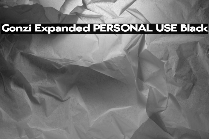 Gonzi Expanded PERSONAL USE Black Example 3