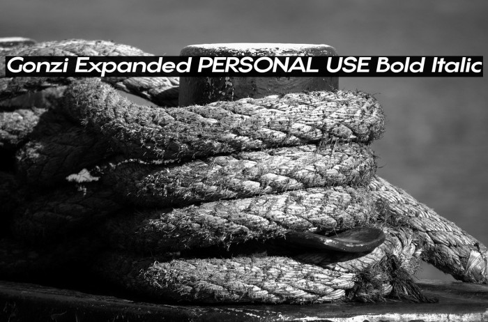 Gonzi Expanded PERSONAL USE Bold Italic Example 2
