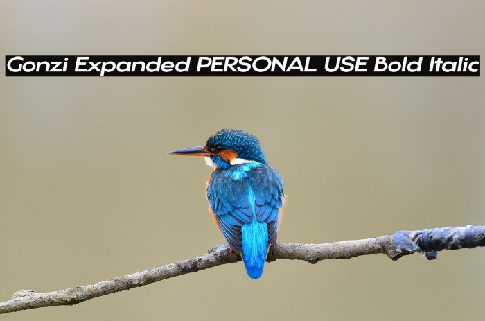 Gonzi Expanded PERSONAL USE Bold Italic Example 3