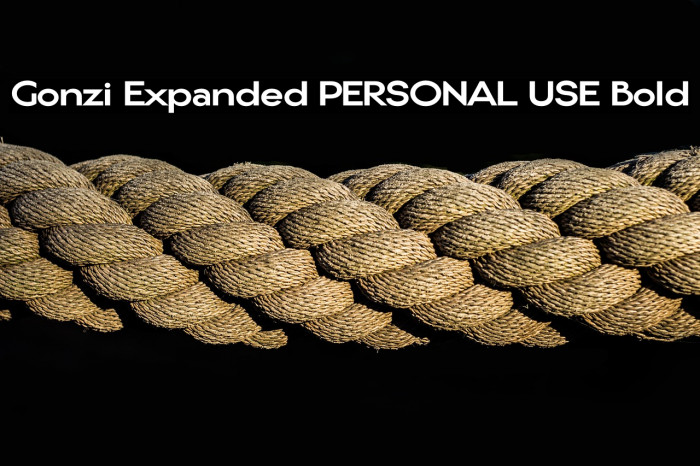 Gonzi Expanded PERSONAL USE Bold Example 1