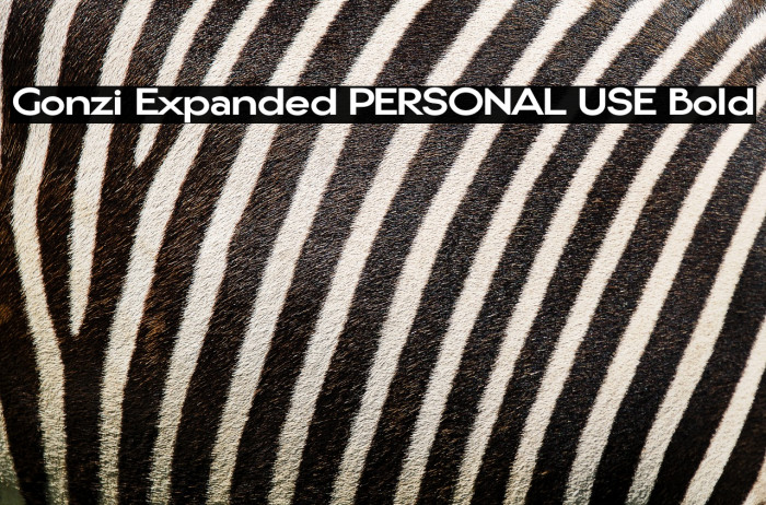 Gonzi Expanded PERSONAL USE Bold Example 2