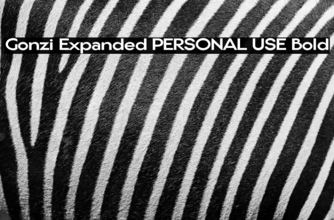 Gonzi Expanded PERSONAL USE Bold Schriftart examples