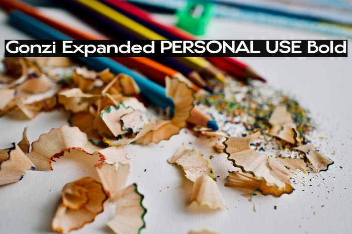 Gonzi Expanded PERSONAL USE Bold Example 3