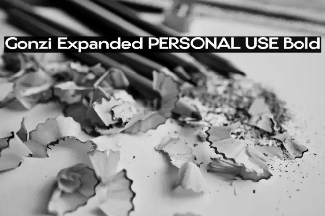 Gonzi Expanded PERSONAL USE Bold Schriftart examples