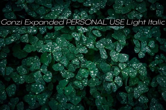 Gonzi Expanded PERSONAL USE Light Italic Example 2