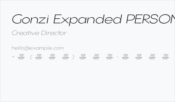 Gonzi Expanded PERSONAL USE Light Italic Business Card