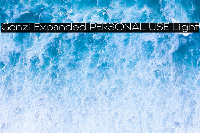 Gonzi Expanded PERSONAL USE Light Example 1