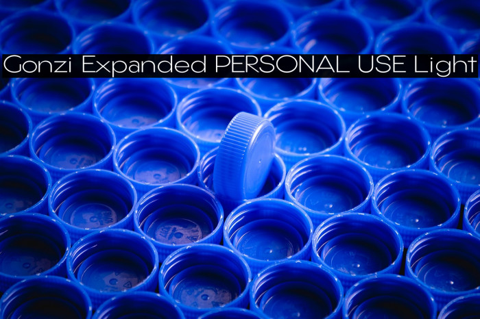 Gonzi Expanded PERSONAL USE Light Example 2