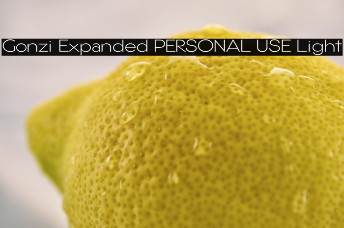 Gonzi Expanded PERSONAL USE Light Example 3