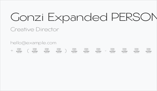 Gonzi Expanded PERSONAL USE Light Business Card