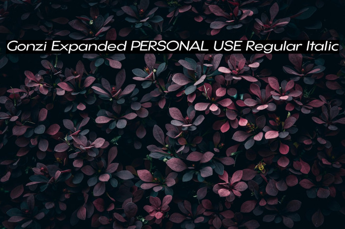 Gonzi Expanded PERSONAL USE Regular Italic Example 1